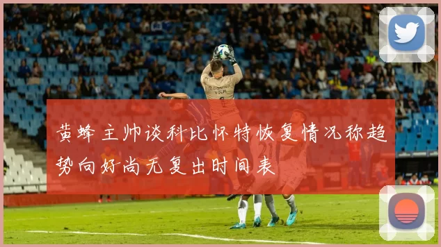 黄蜂主帅谈科比怀特恢复情况称趋势向好尚无复出时间表