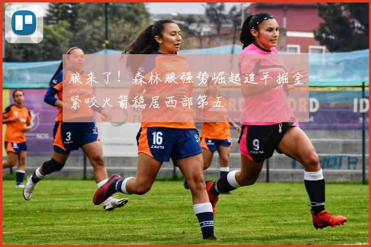 狼来了！森林狼强势崛起追平掘金紧咬火箭稳居西部第五