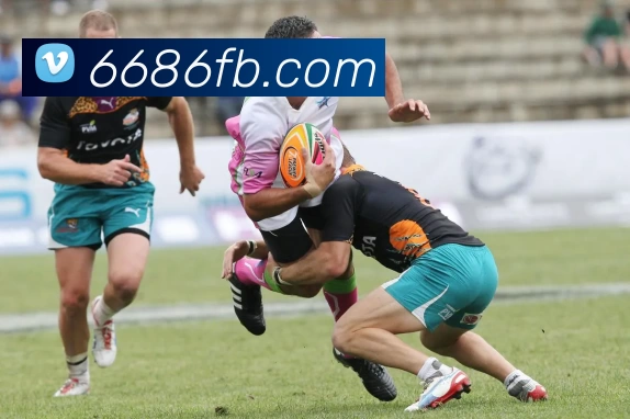 6686体育APP 封面图